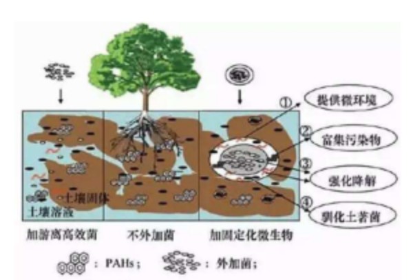 重金属治理及土壤修复